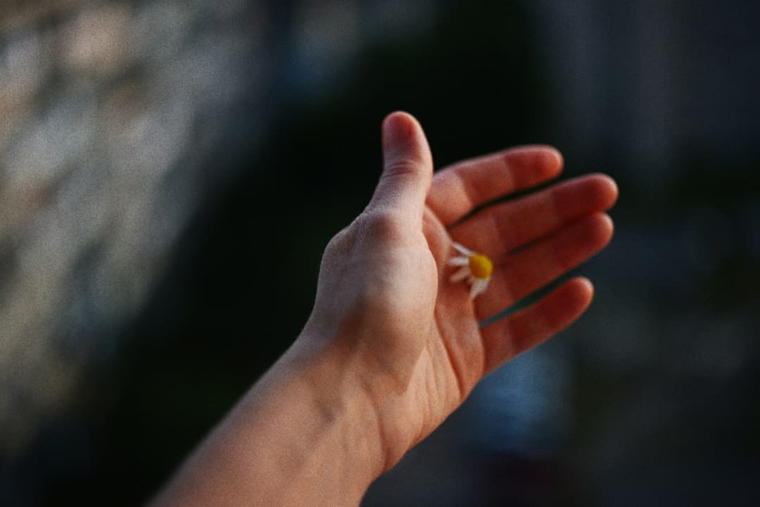 上海黄金交易所:持续做好近期商场危险操控